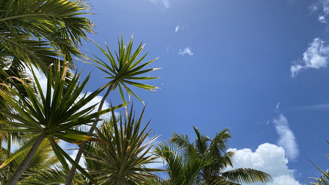 Photo of Outdoor in The Bight