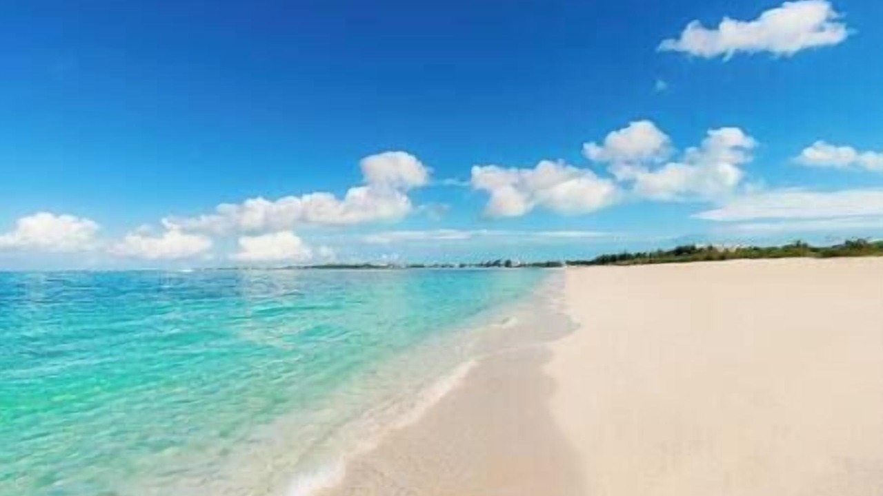 Photo of Others in The Bight