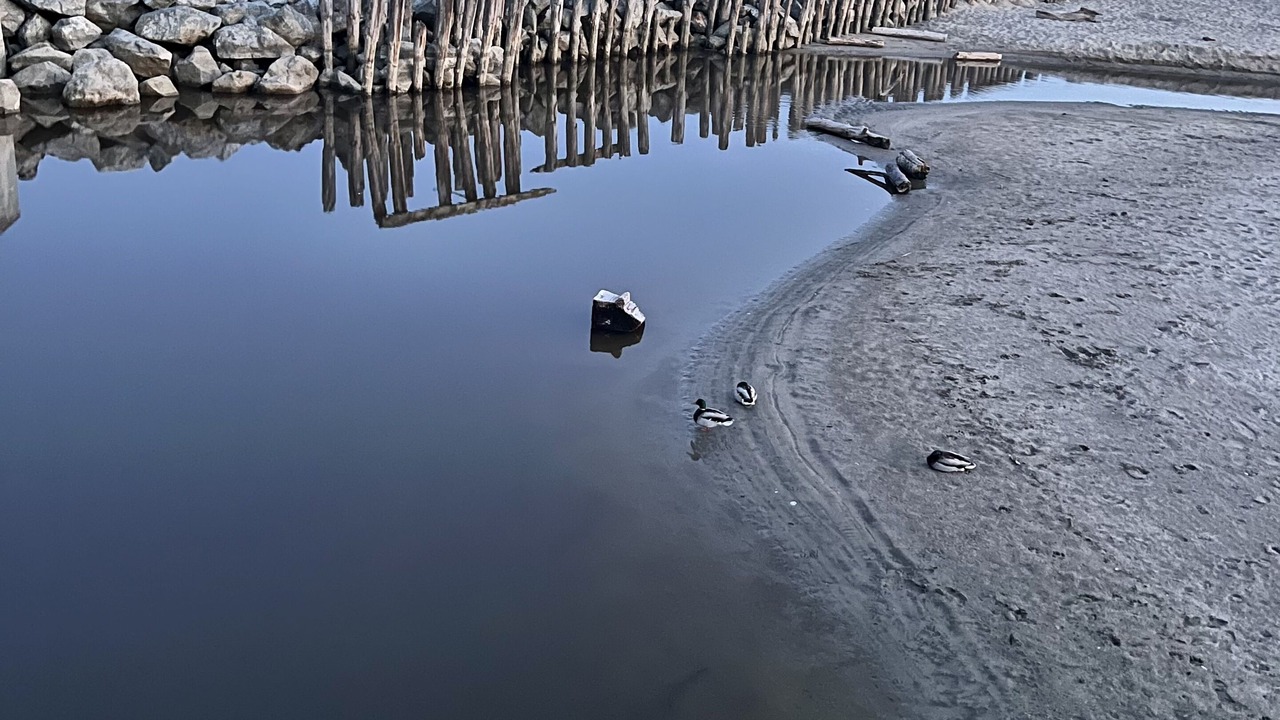 Photo of Others in Rio del Mar