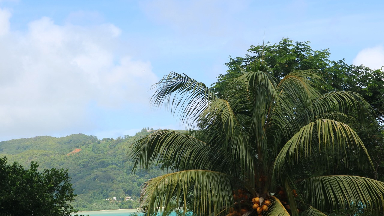 Photo of Outdoor in Anse La Mouche
