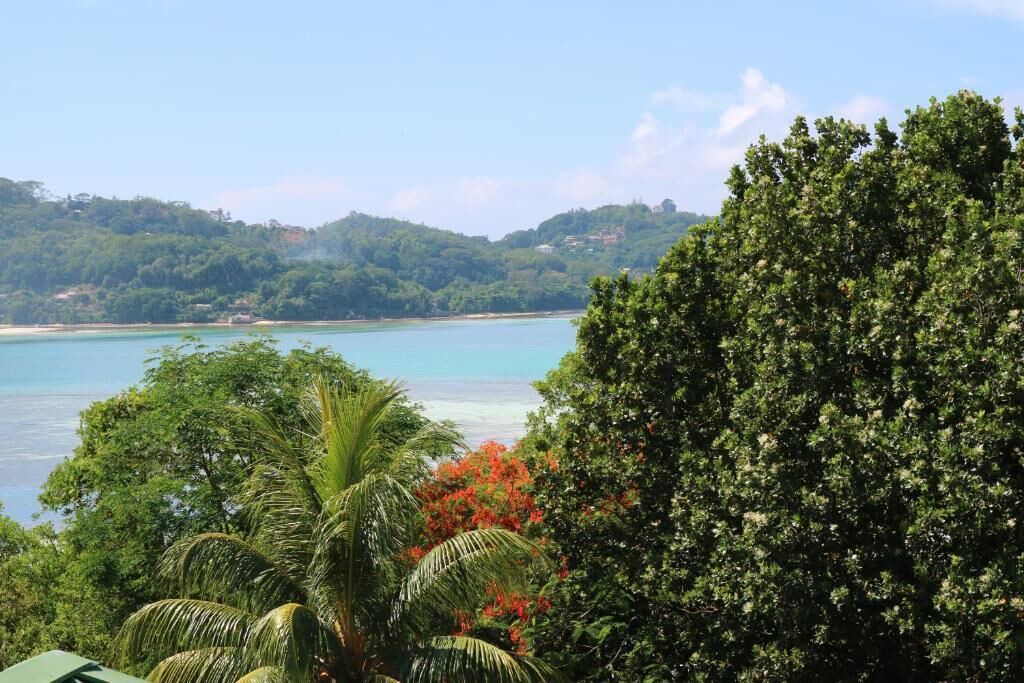 Photo of Others in Anse La Mouche