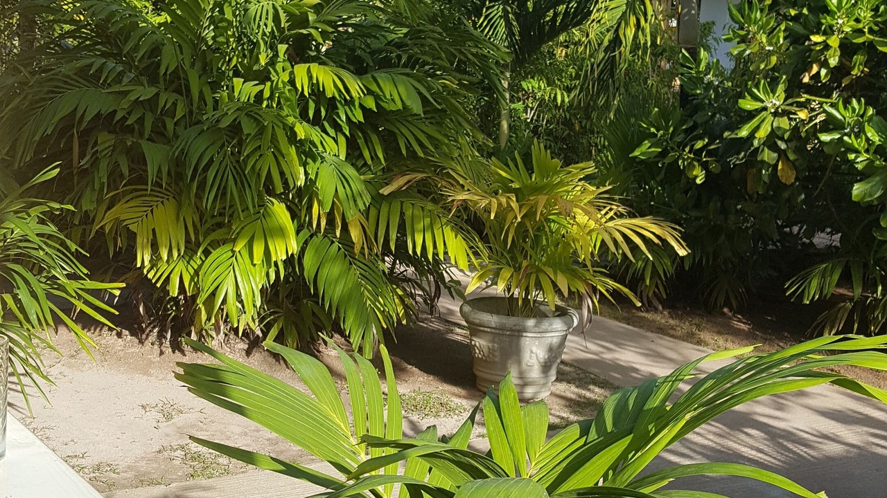 Photo of Outdoor in La Digue