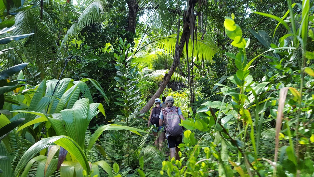 Photo of Outdoor in La Passe