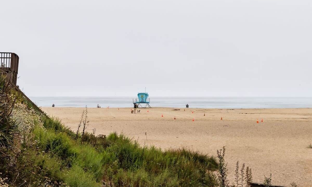 Photo of Others in Seabright