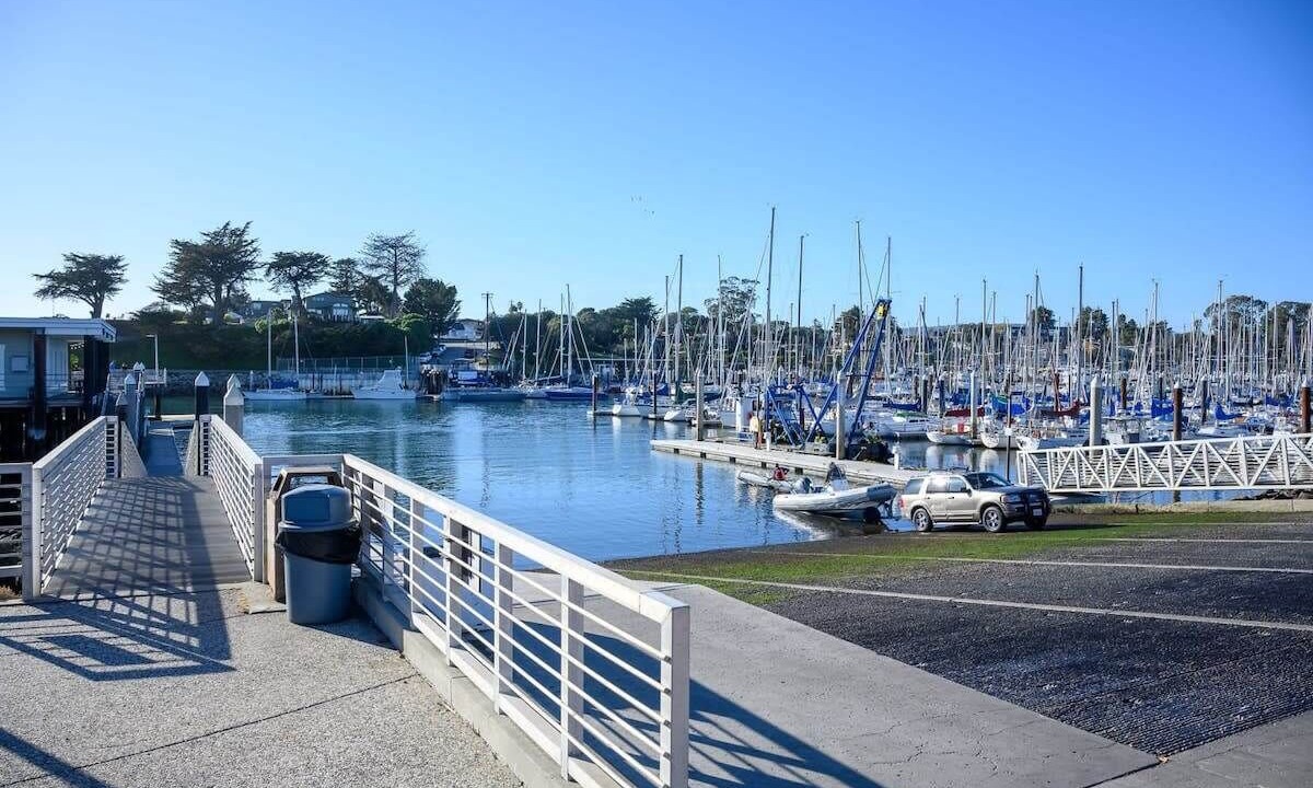 Photo of Others in Seabright