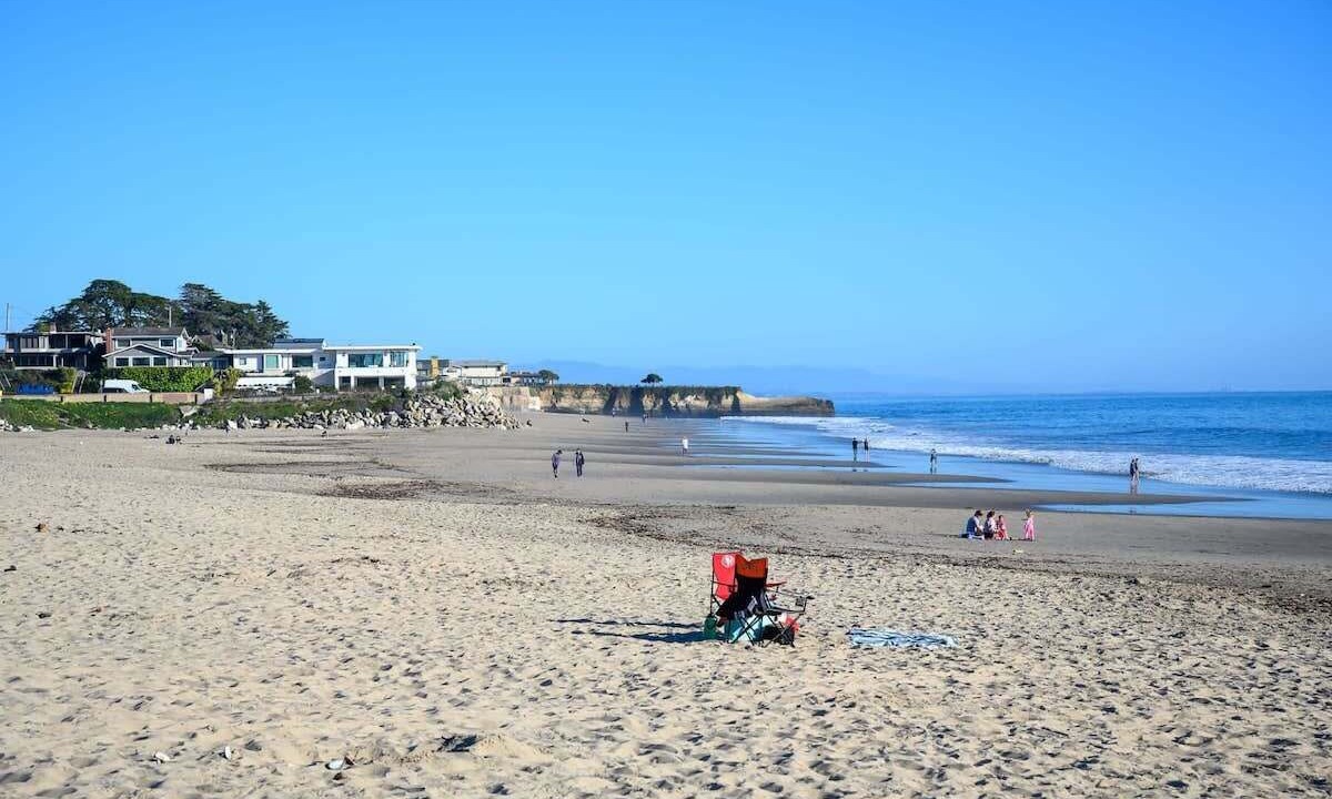 Photo of Others in Seabright