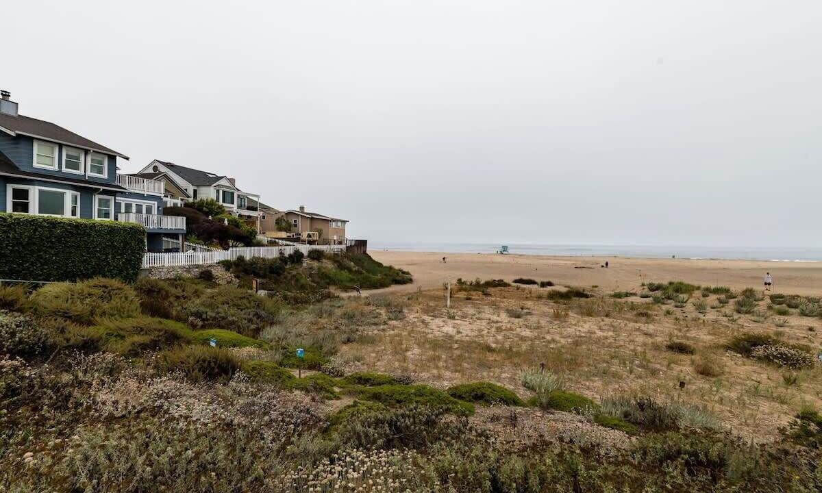 Photo of Others in Seabright