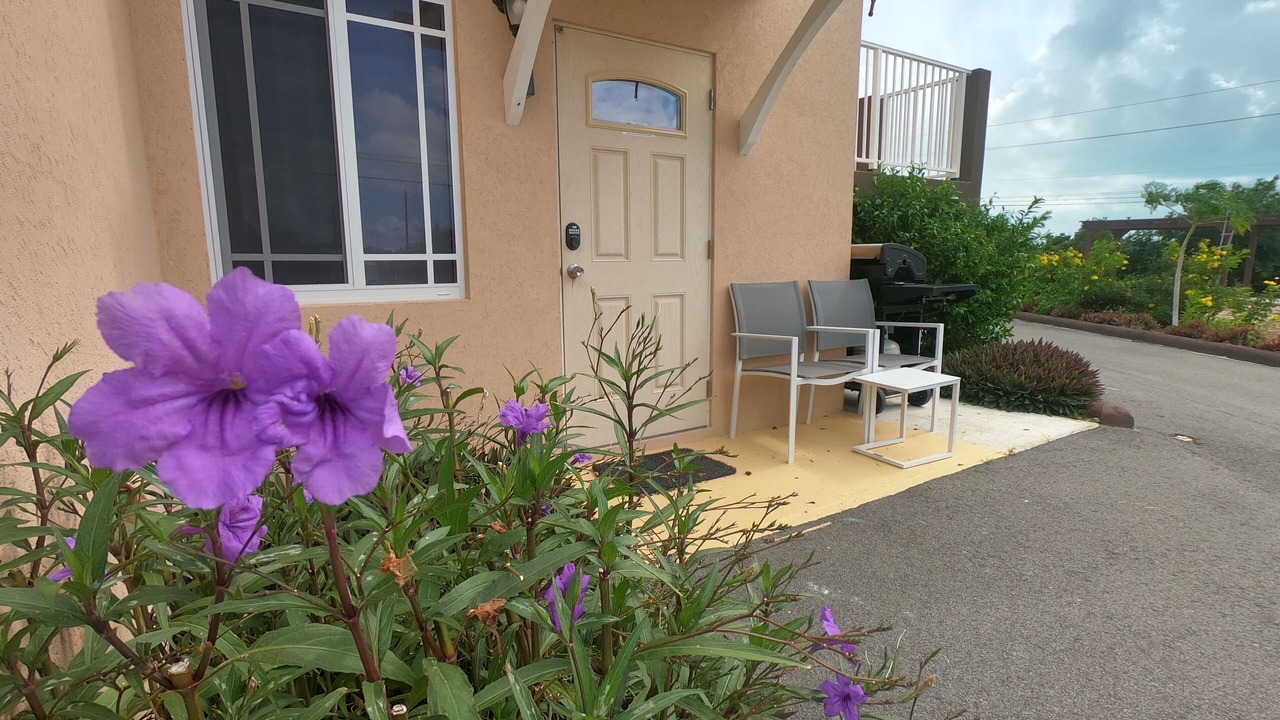 Photo of Outdoor in Long Bay