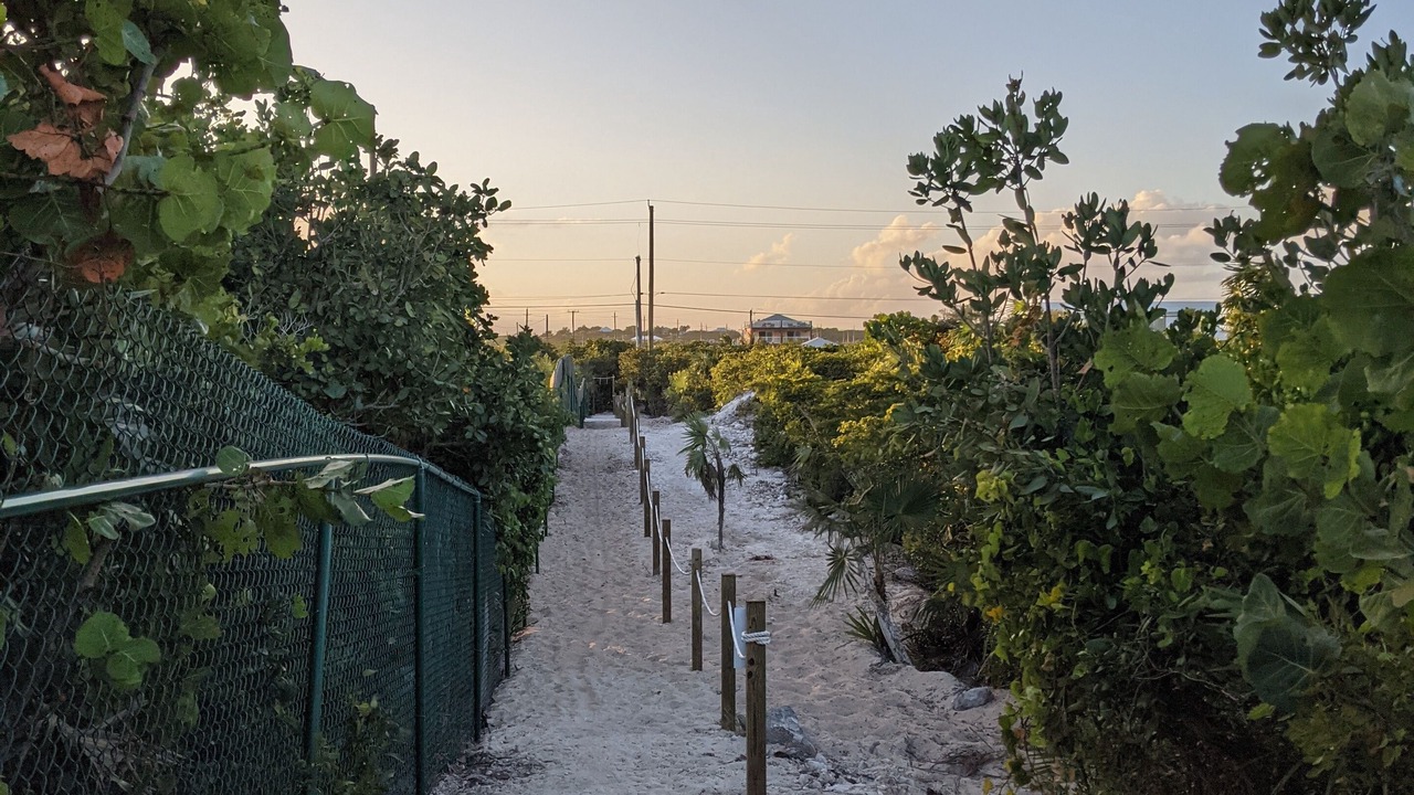 Photo of Outdoor in Long Bay