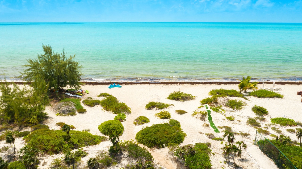 Photo of Others in Long Bay