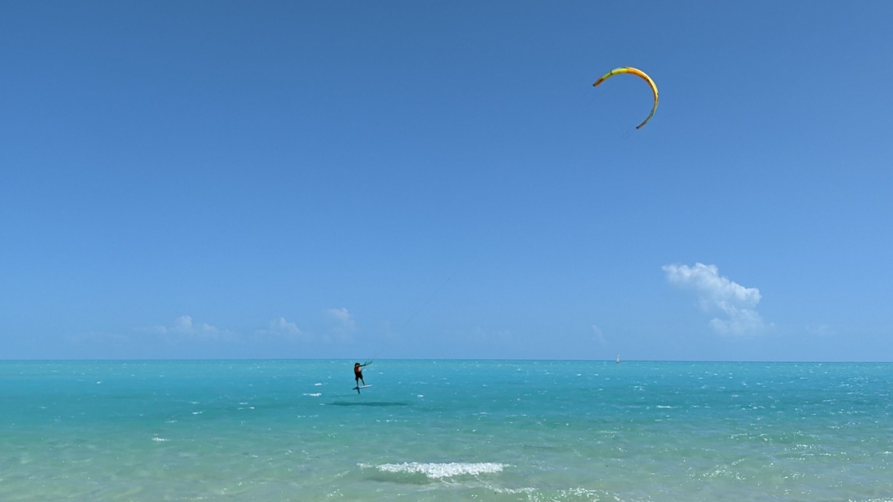 Photo of Others in Long Bay
