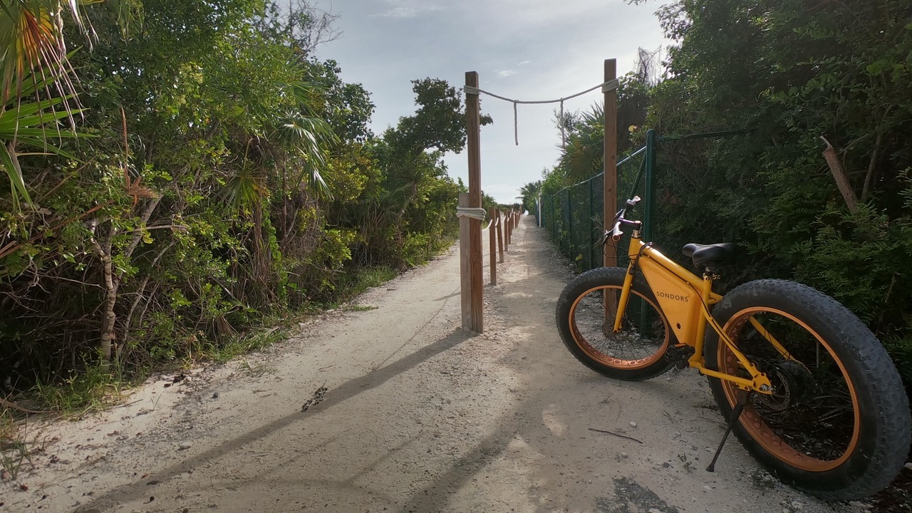 Photo of Outdoor in Long Bay