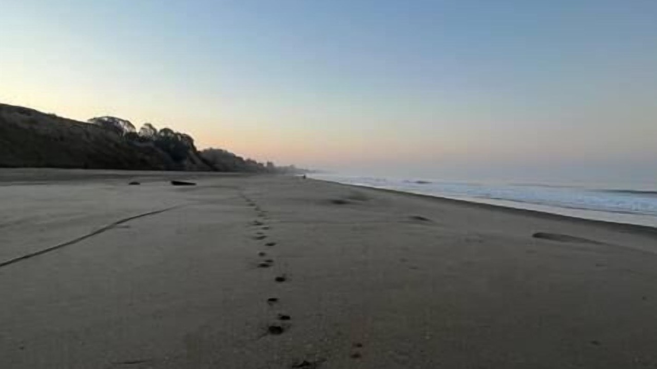 Photo of Others in Rio del Mar