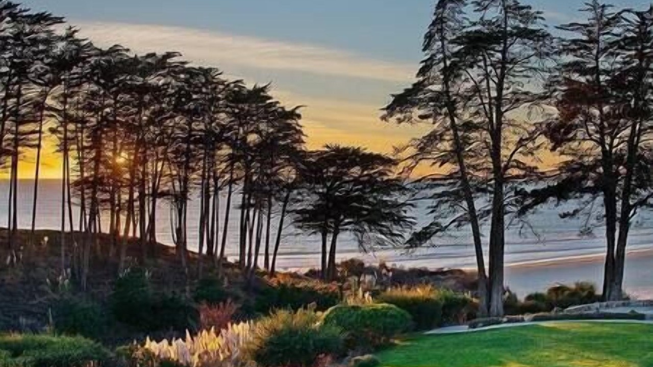 Photo of Others in Rio del Mar
