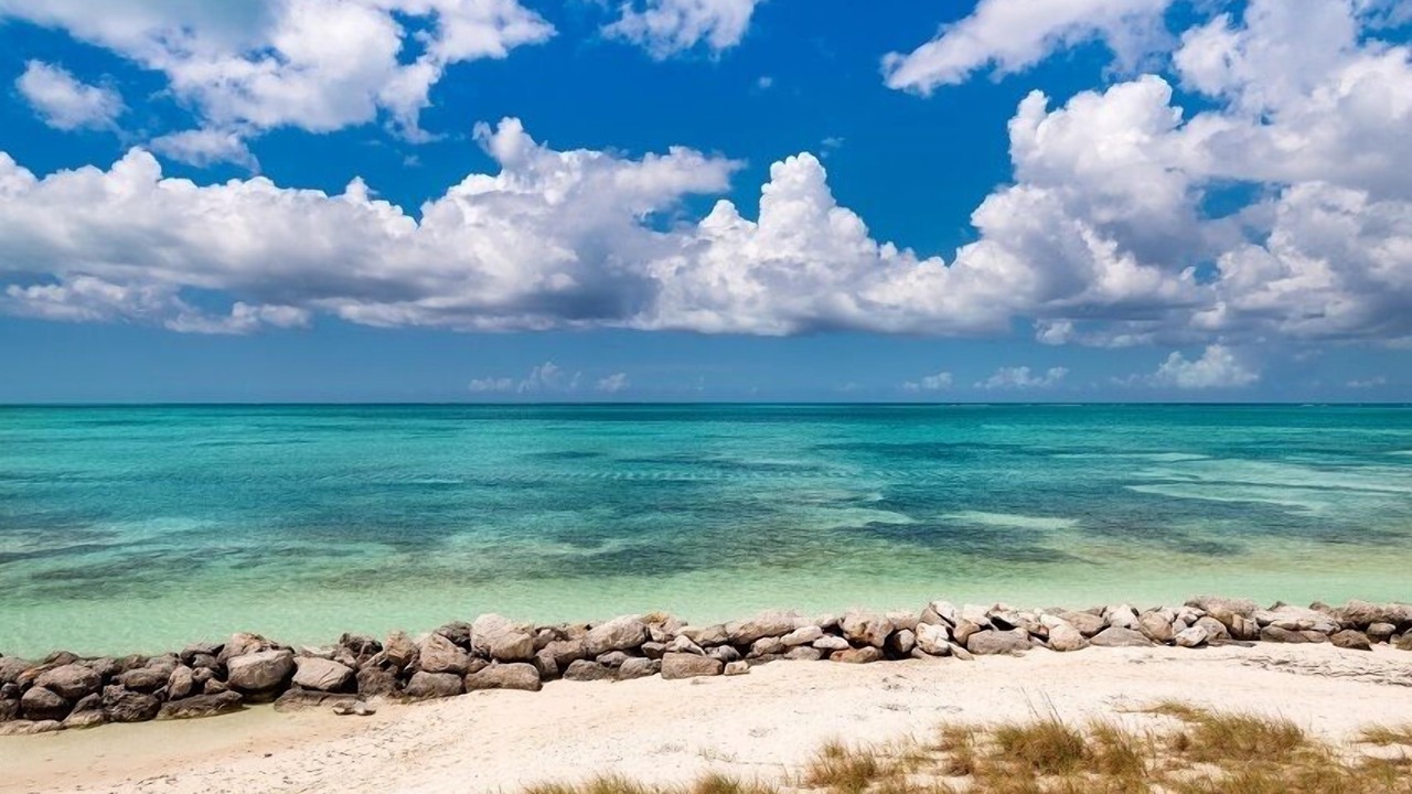 Photo of Others in Providenciales