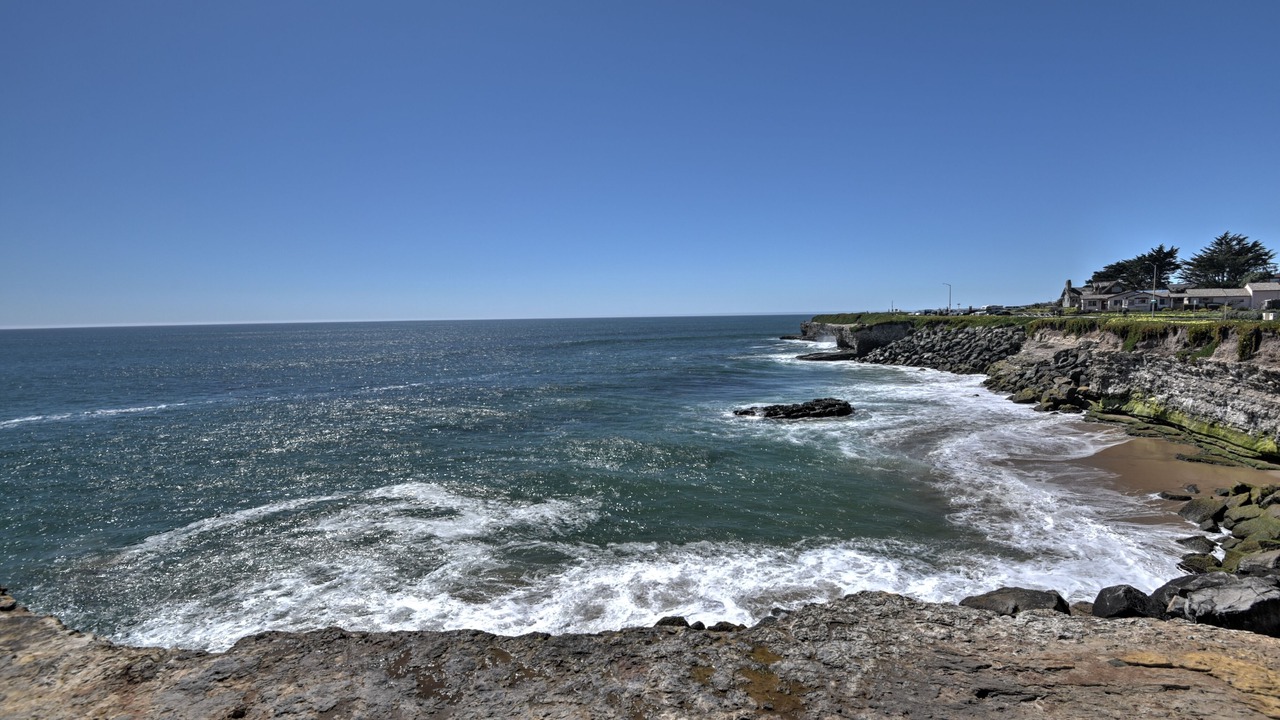 Photo of Others in Westside Santa Cruz