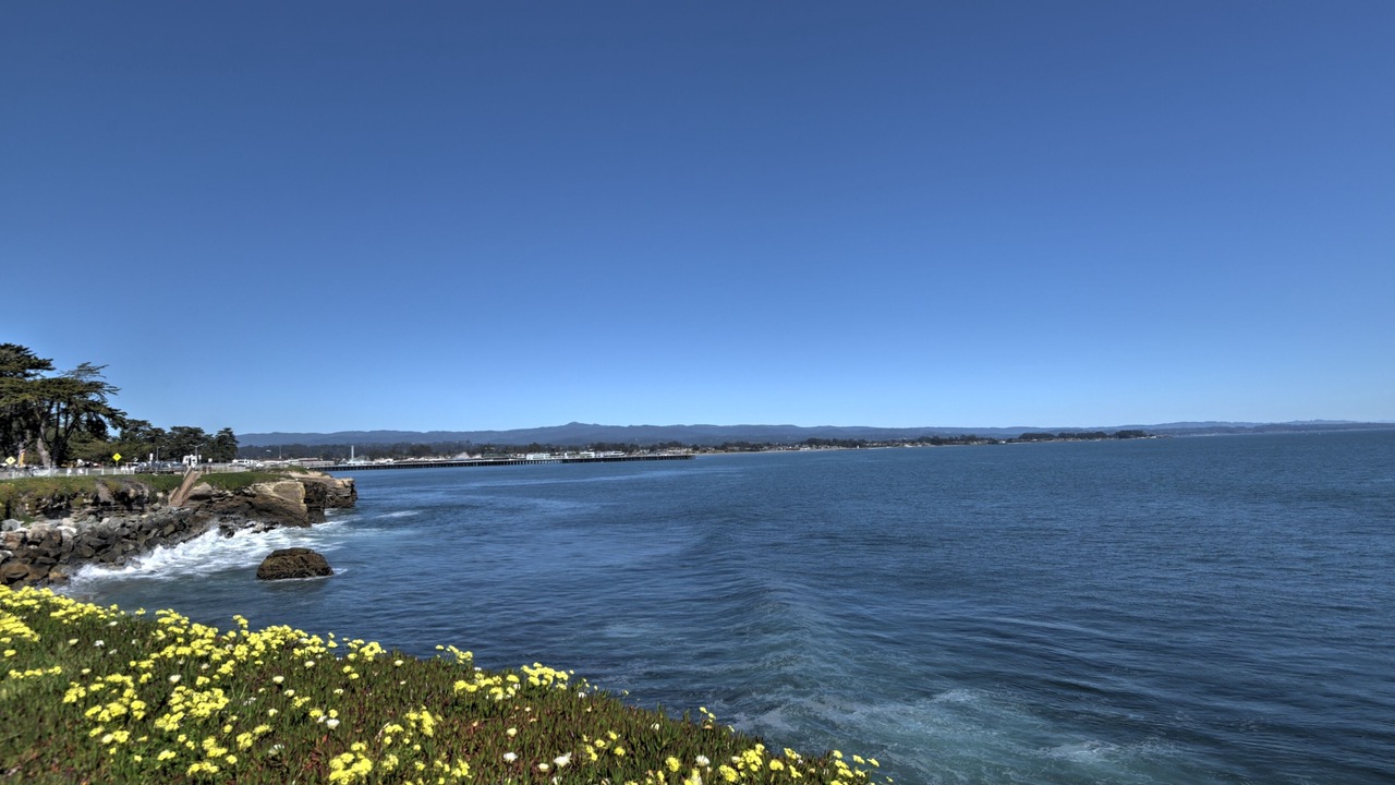 Photo of Others in Westside Santa Cruz