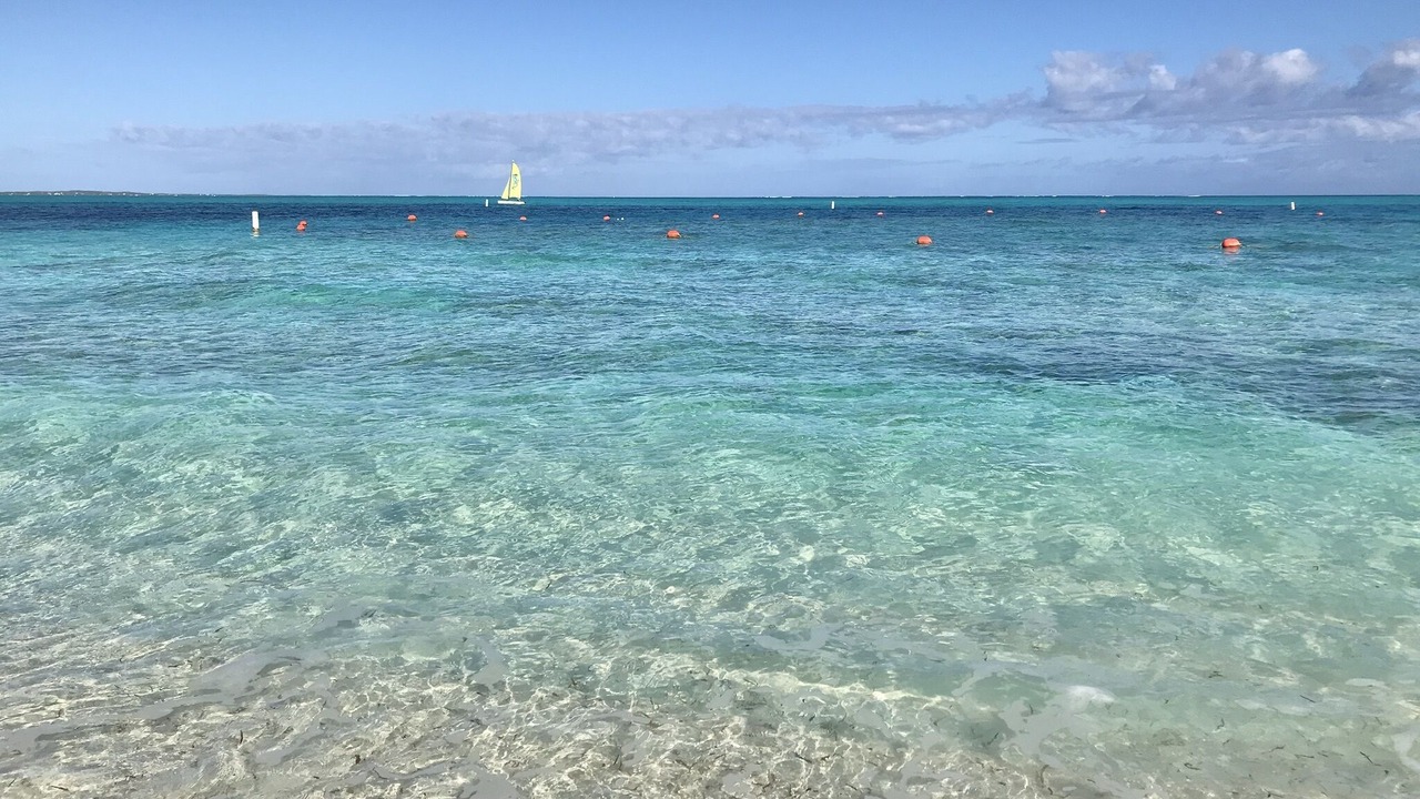 Photo of Others in The Bight