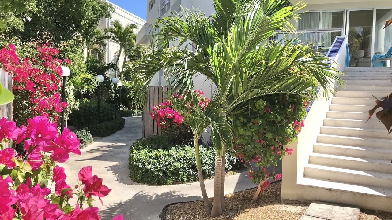 Photo of Outdoor in The Bight