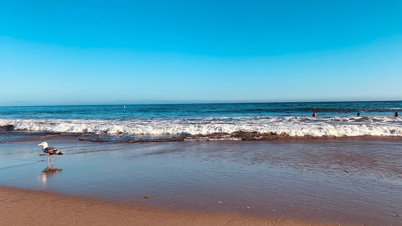 Photo of Others in Capitola