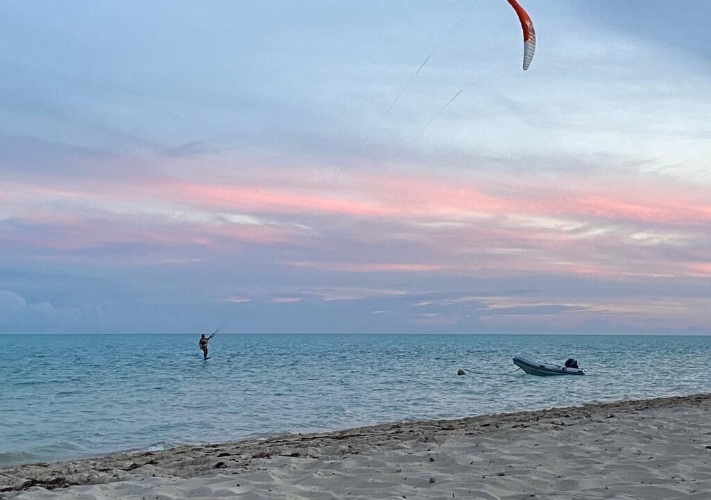 Photo of Others in Long Bay