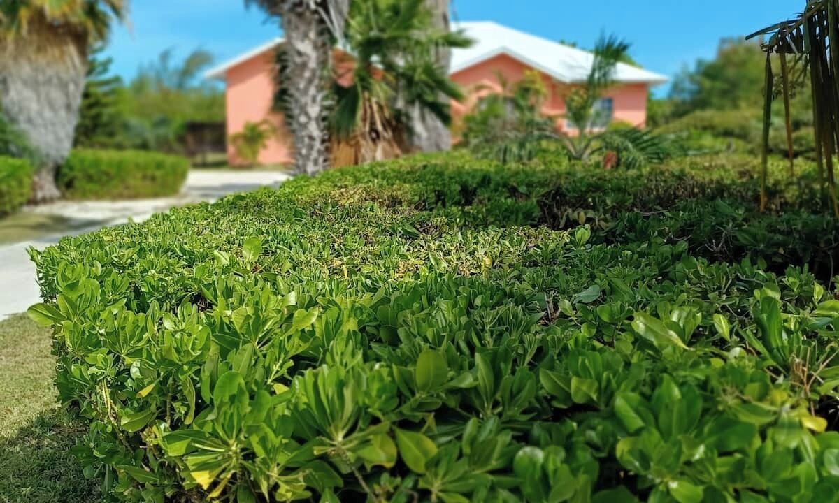Photo of Outdoor in Leeward Settlement