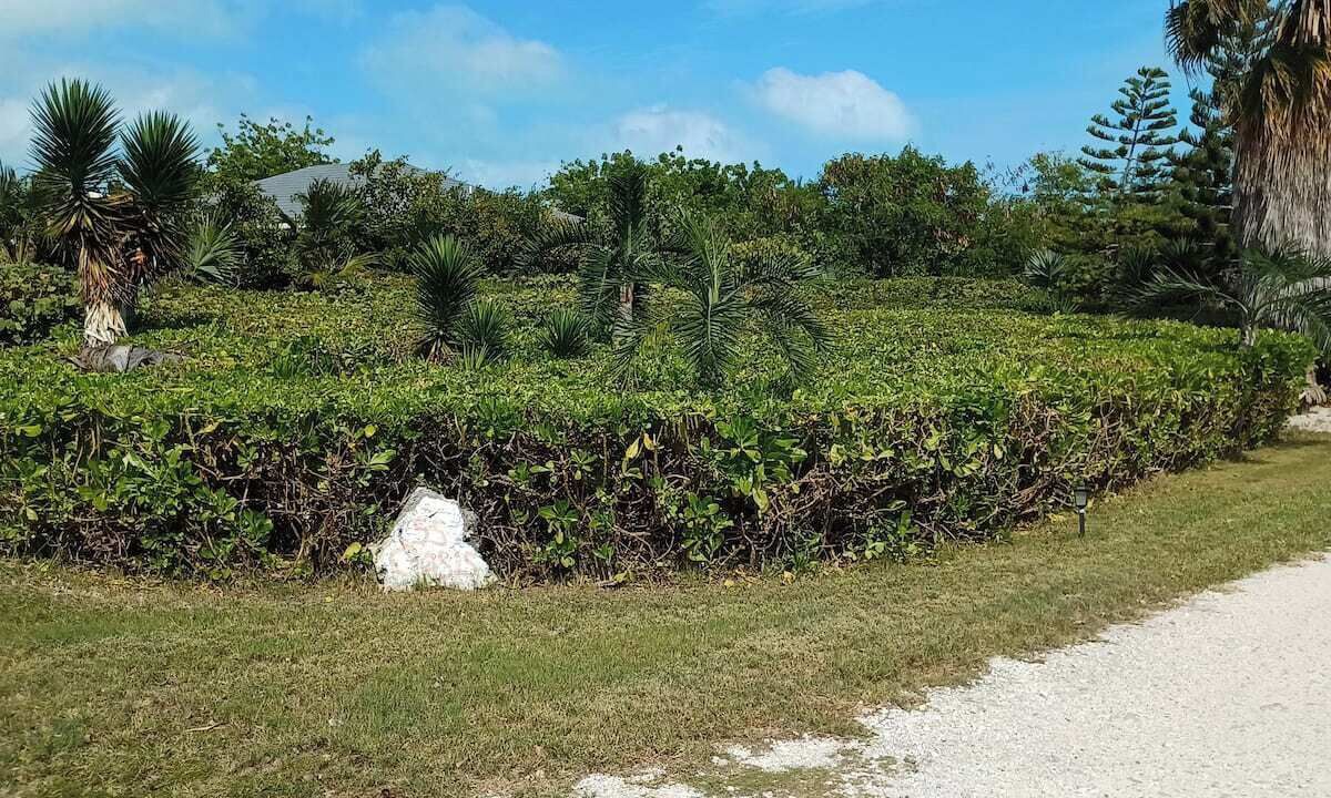 Photo of Others in Leeward Settlement