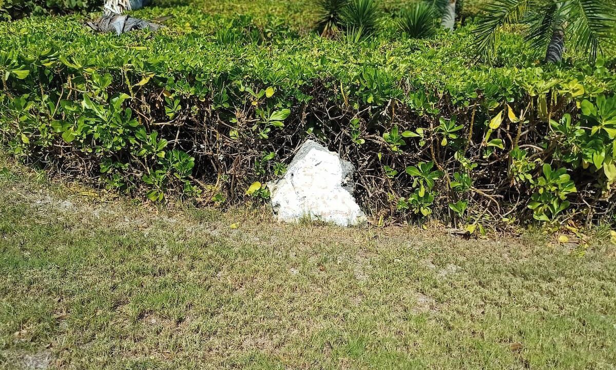 Photo of Outdoor in Leeward Settlement