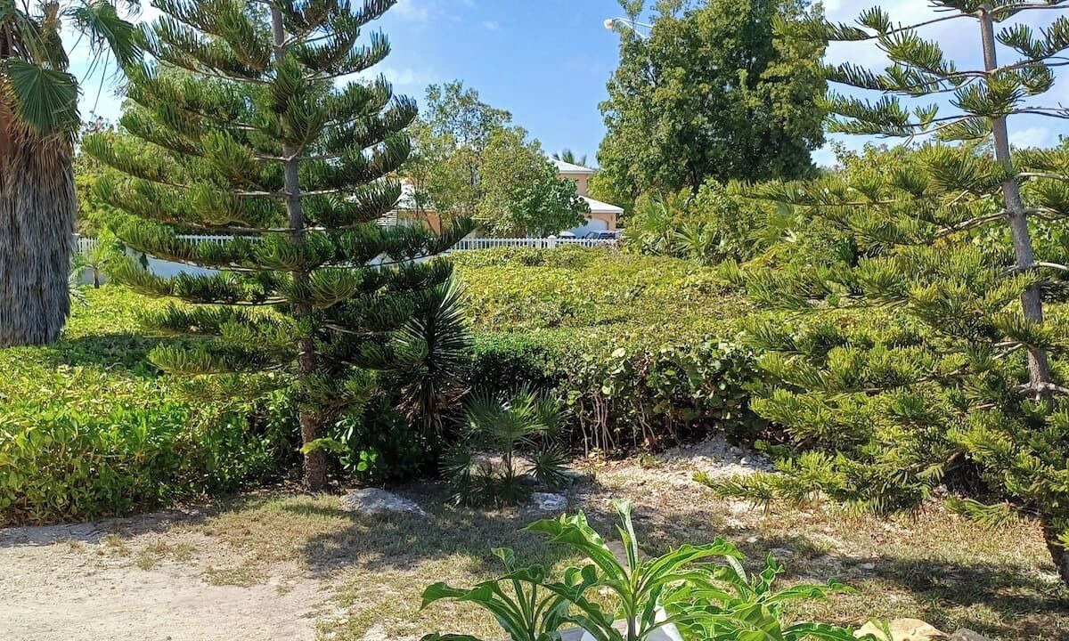 Photo of Outdoor in Leeward Settlement