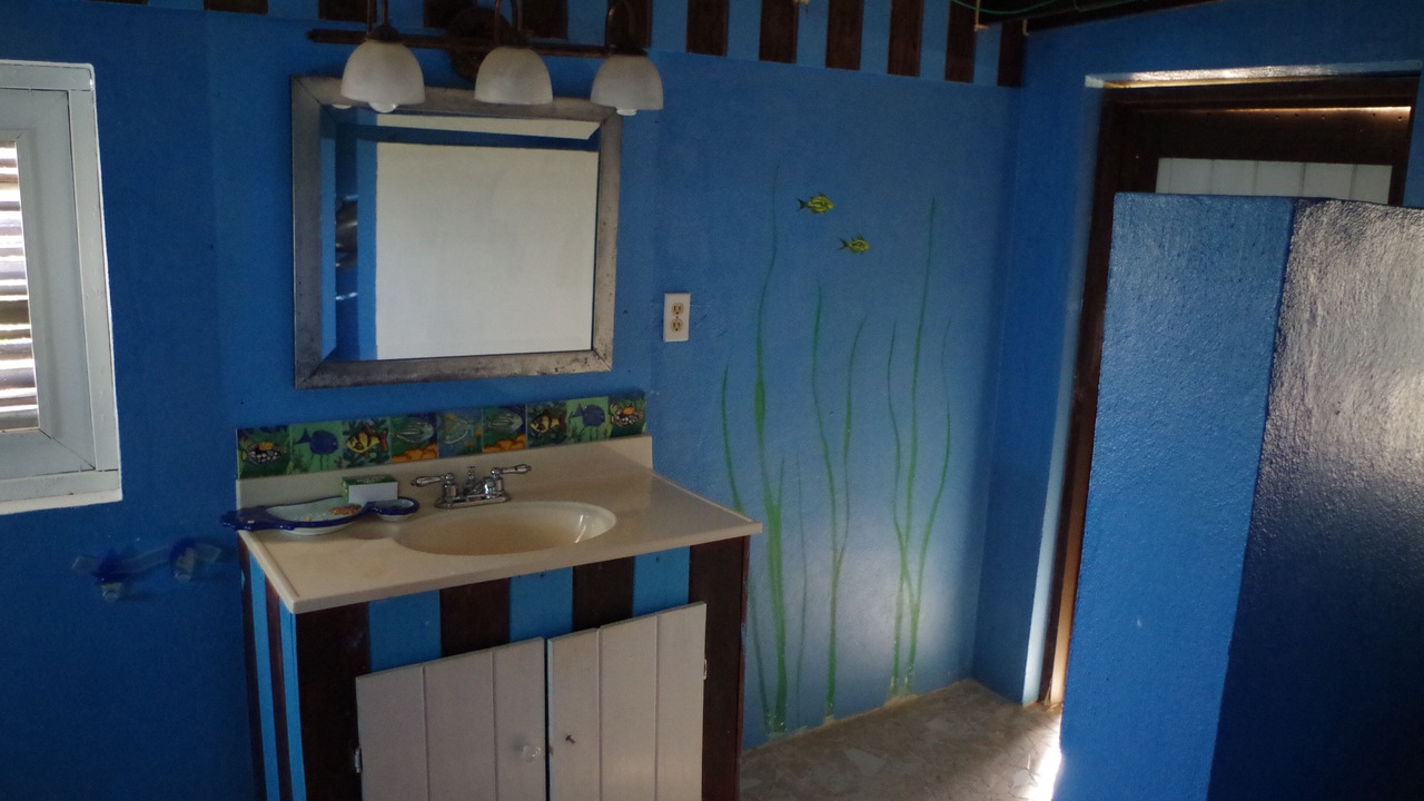 Photo of Bathroom in Balfour Town