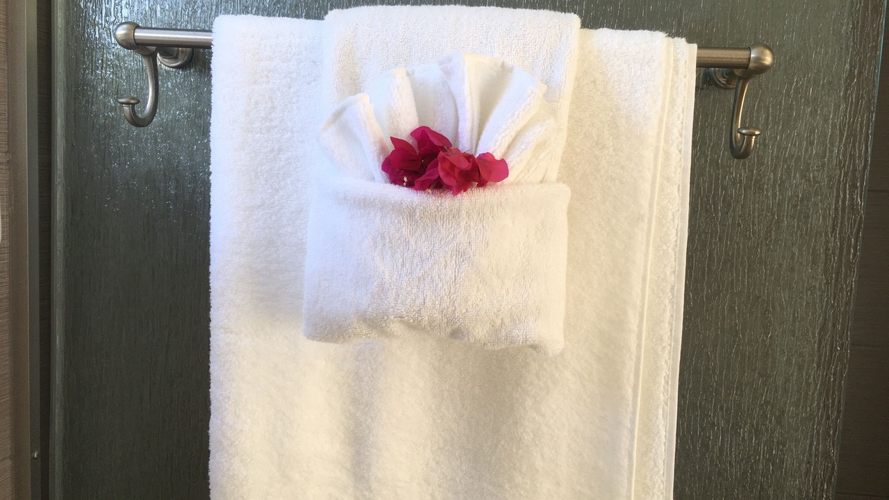 Photo of Bathroom in Long Bay Hills