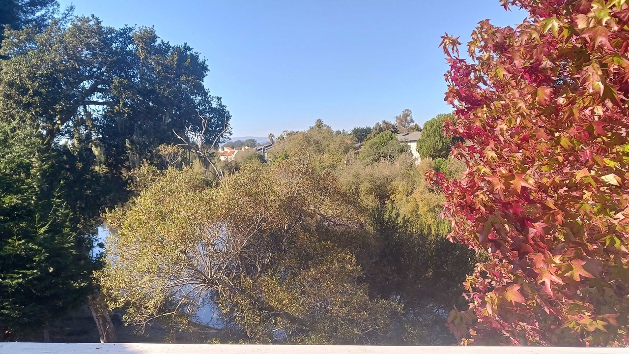 Photo of Outdoor in Rio del Mar