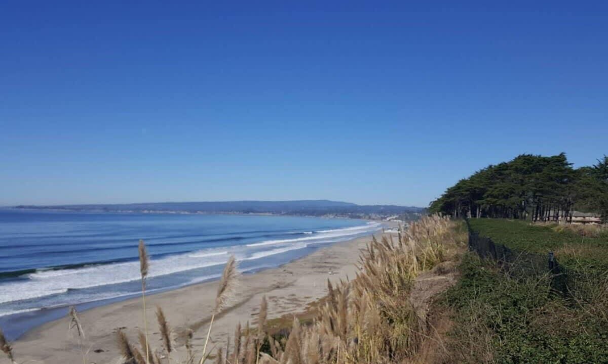 Photo of Others in Rio del Mar