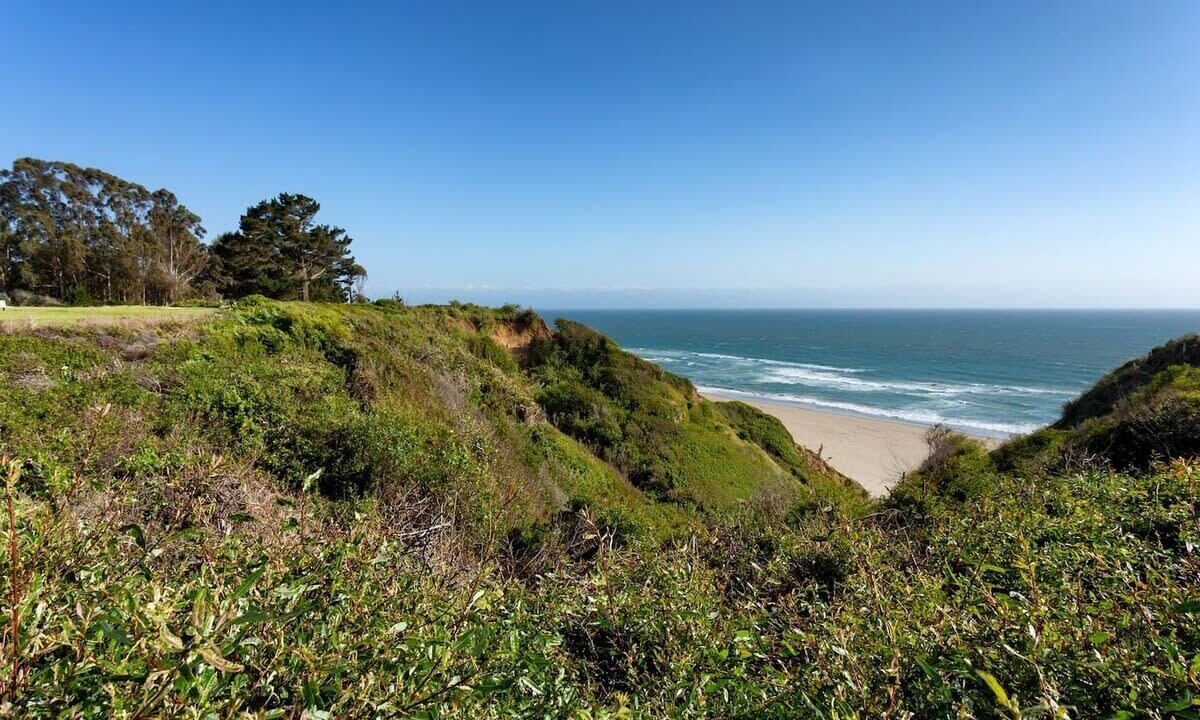 Photo of Others in Rio del Mar
