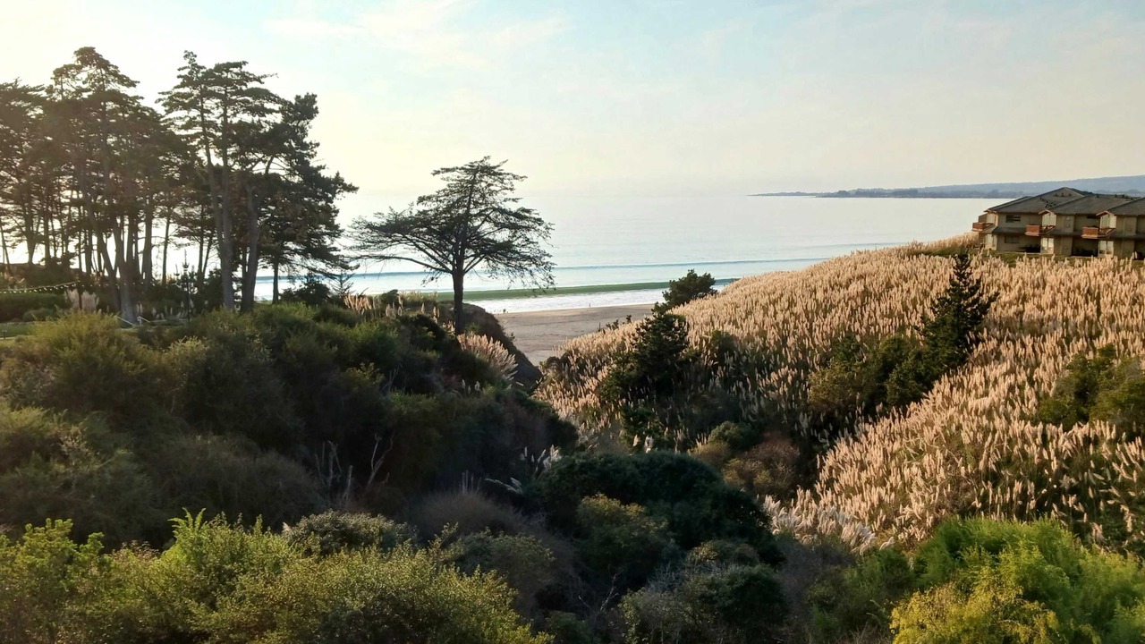 Photo of Others in Rio del Mar
