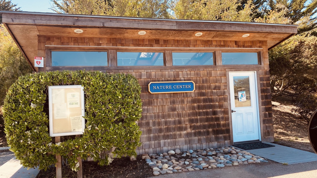Photo of Others in Pajaro Dunes