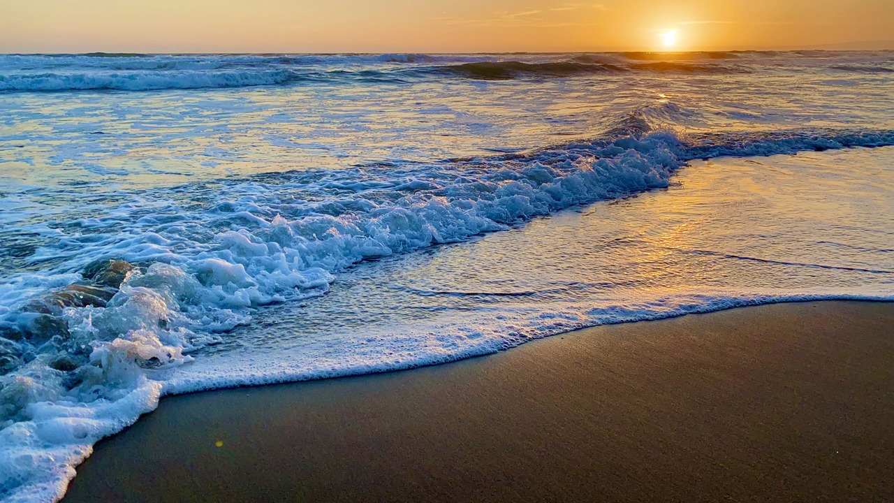 Photo of Others in Pajaro Dunes