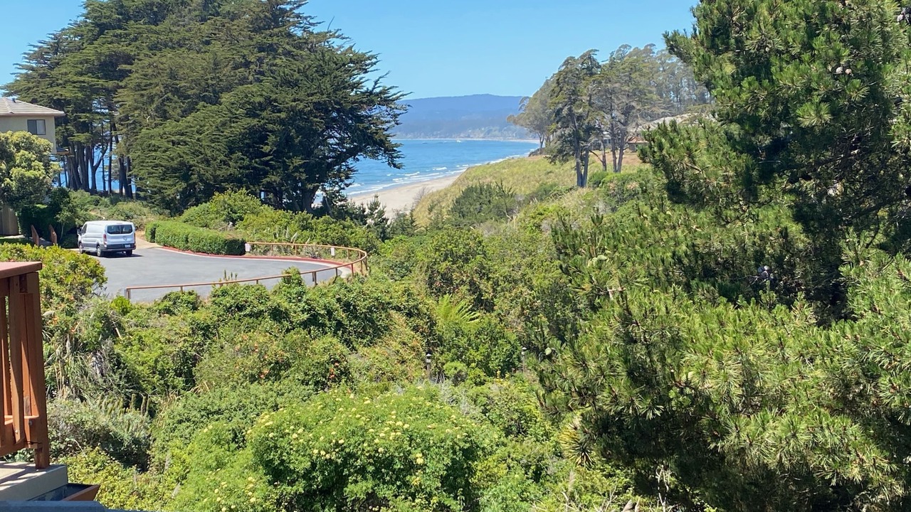 Photo of Outdoor in Rio del Mar