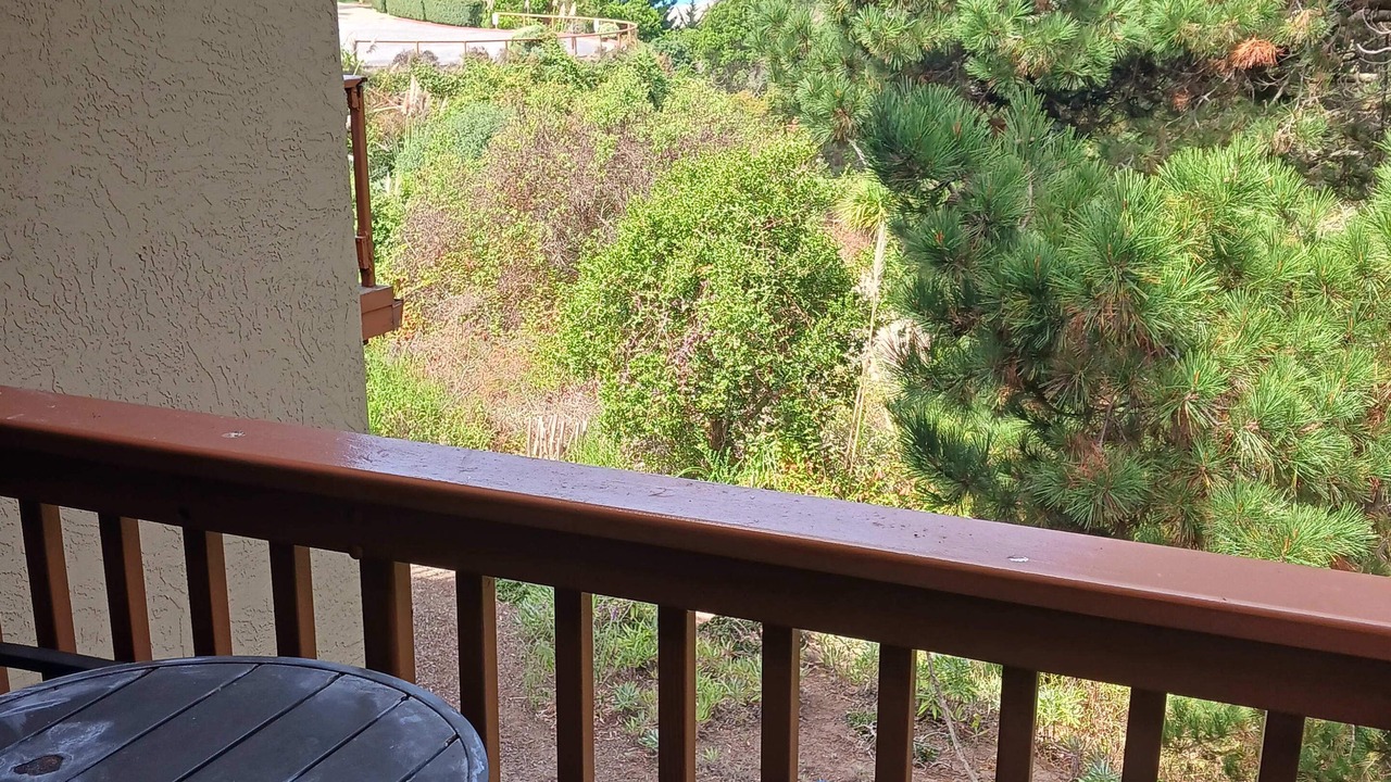 Photo of Outdoor in Rio del Mar
