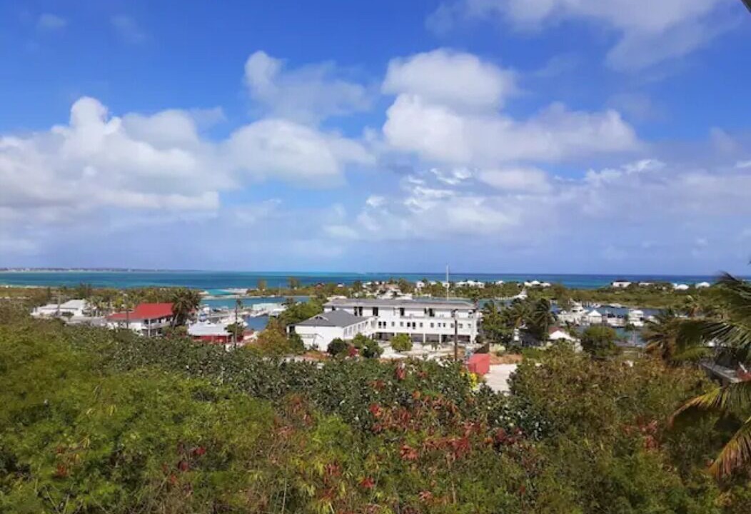 Photo of Others in The Bight