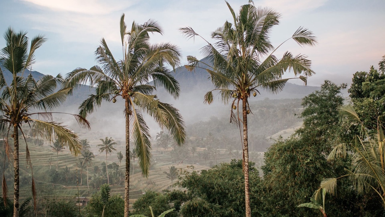 Photo of Outdoor in Dyanapura