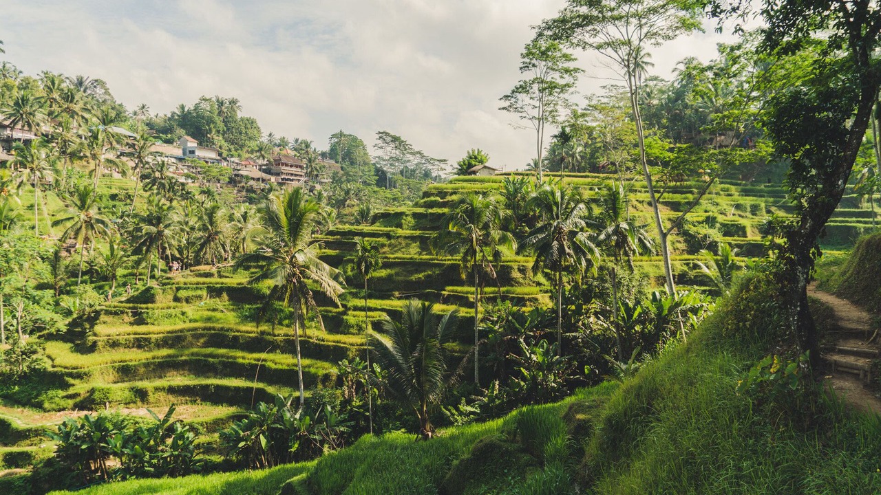 Photo of Outdoor in Dyanapura