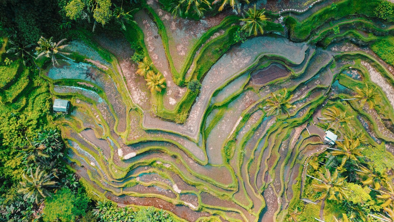 Photo of Outdoor in Manggis