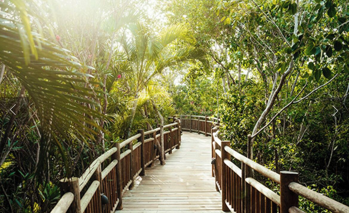 Photo of Outdoor in Villa Juarez