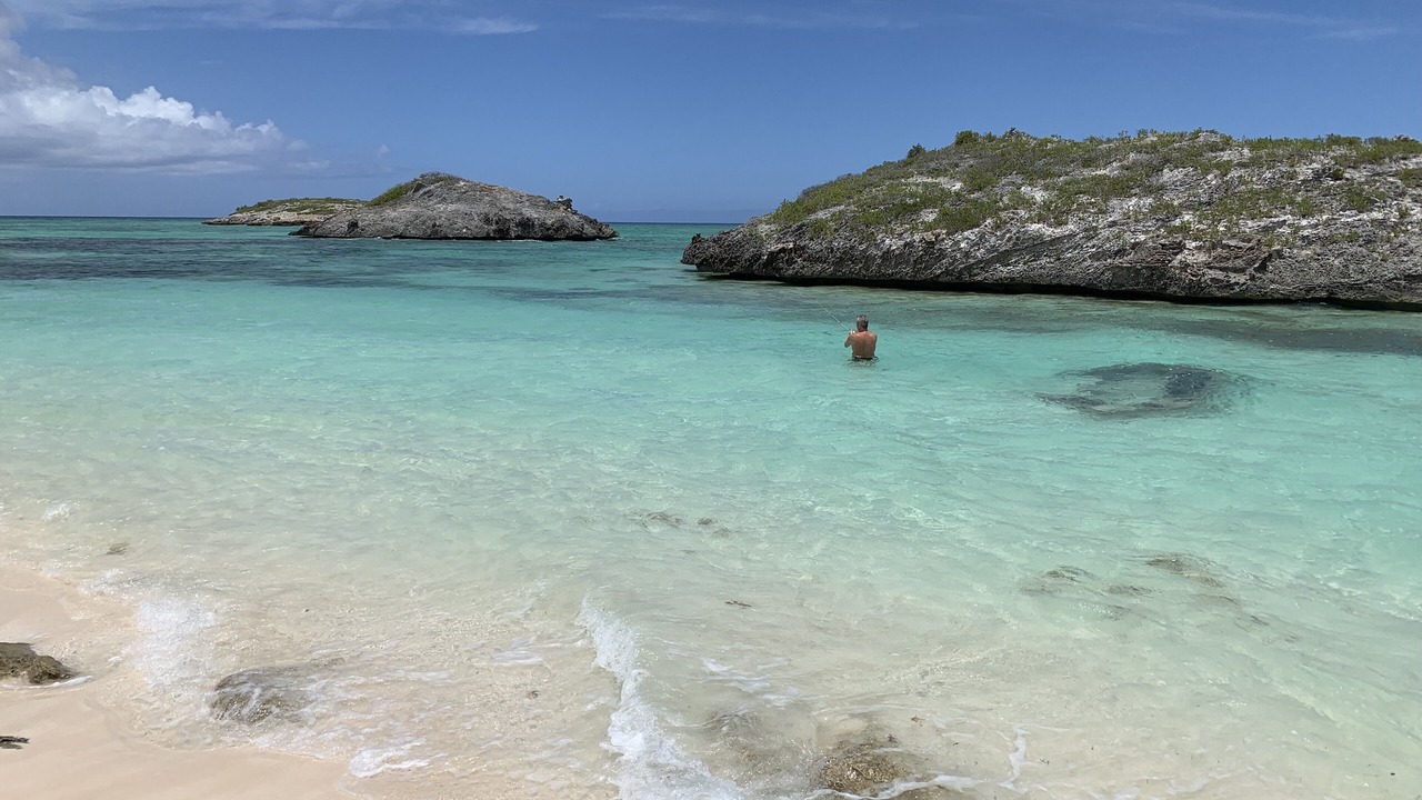 Photo of Others in Conch Bar