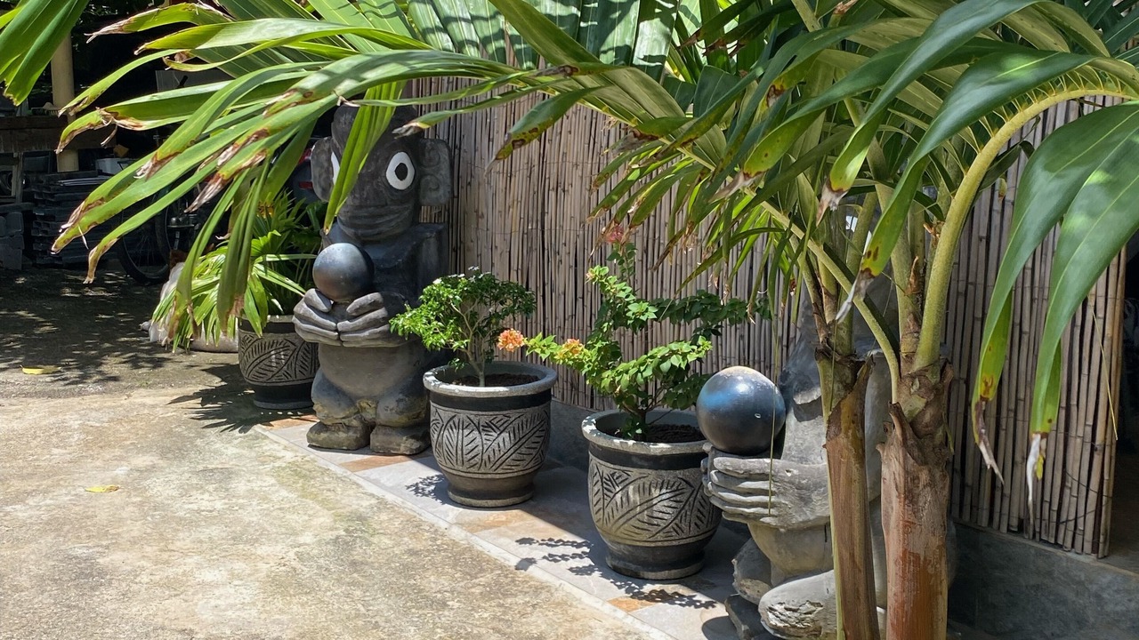 Photo of Outdoor in Faanui