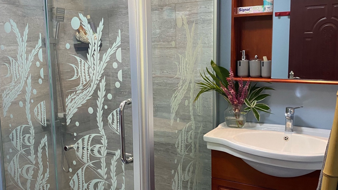 Photo of Bathroom in Faanui