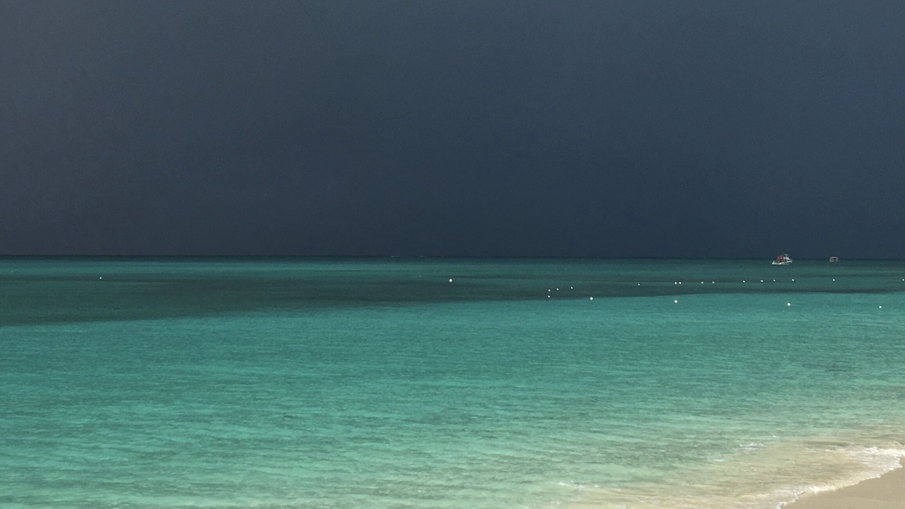 Photo of Others in Discovery Bay