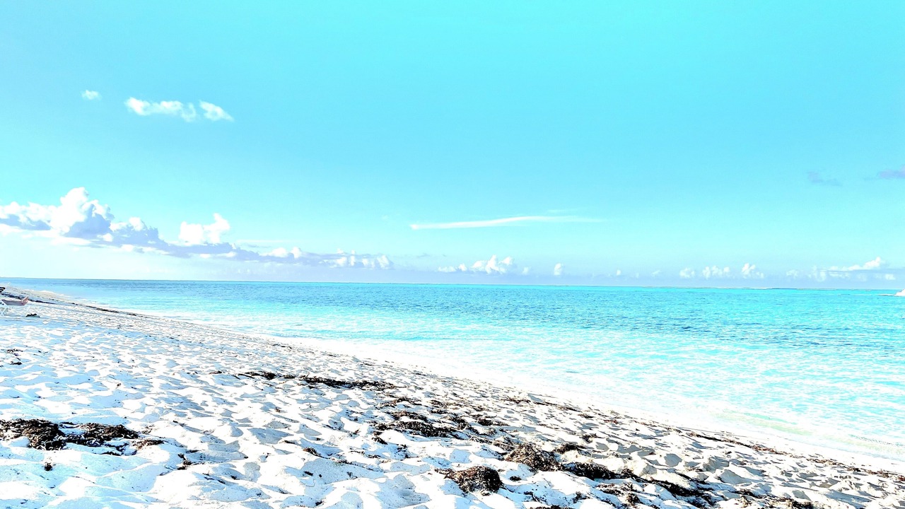 Photo of Others in The Bight