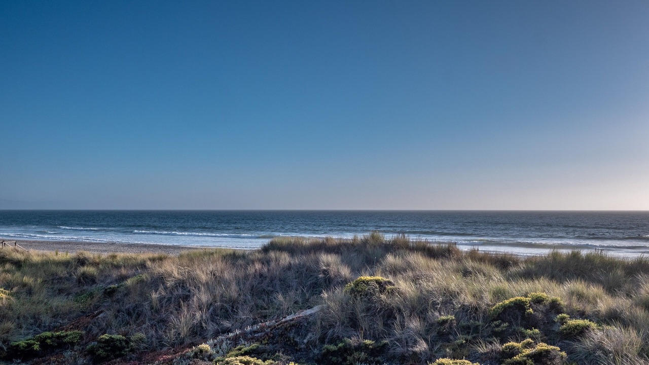 Photo of Others in Pajaro Dunes